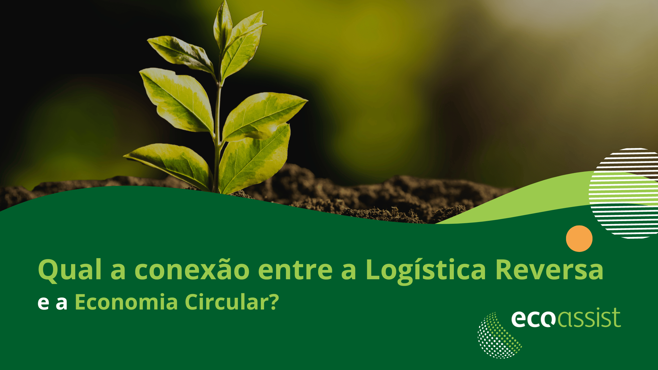 Qual a conexão entre a logística reversa e a economia circular